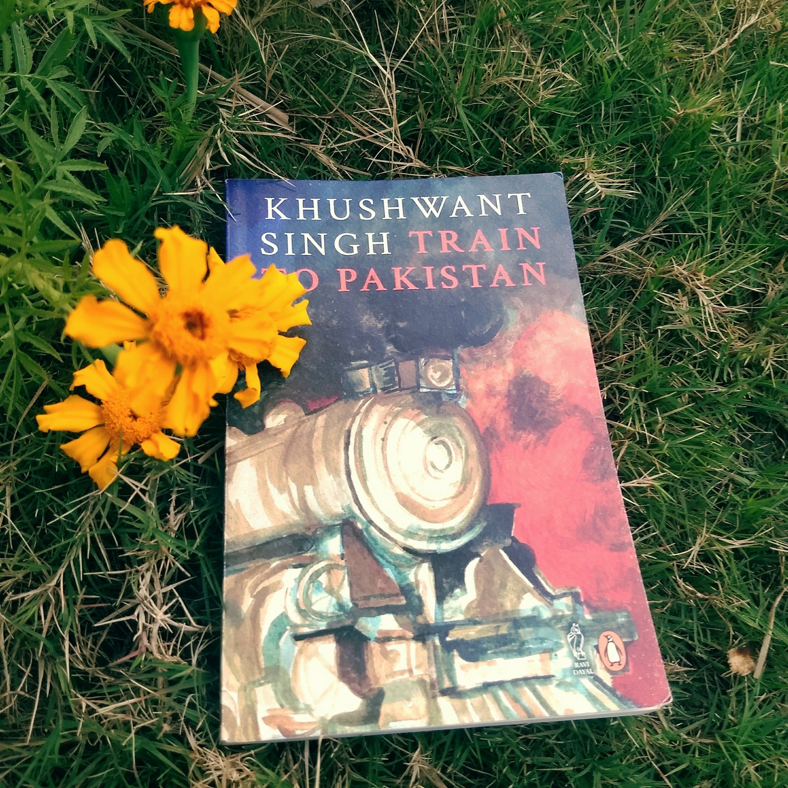 Train to Pakistan